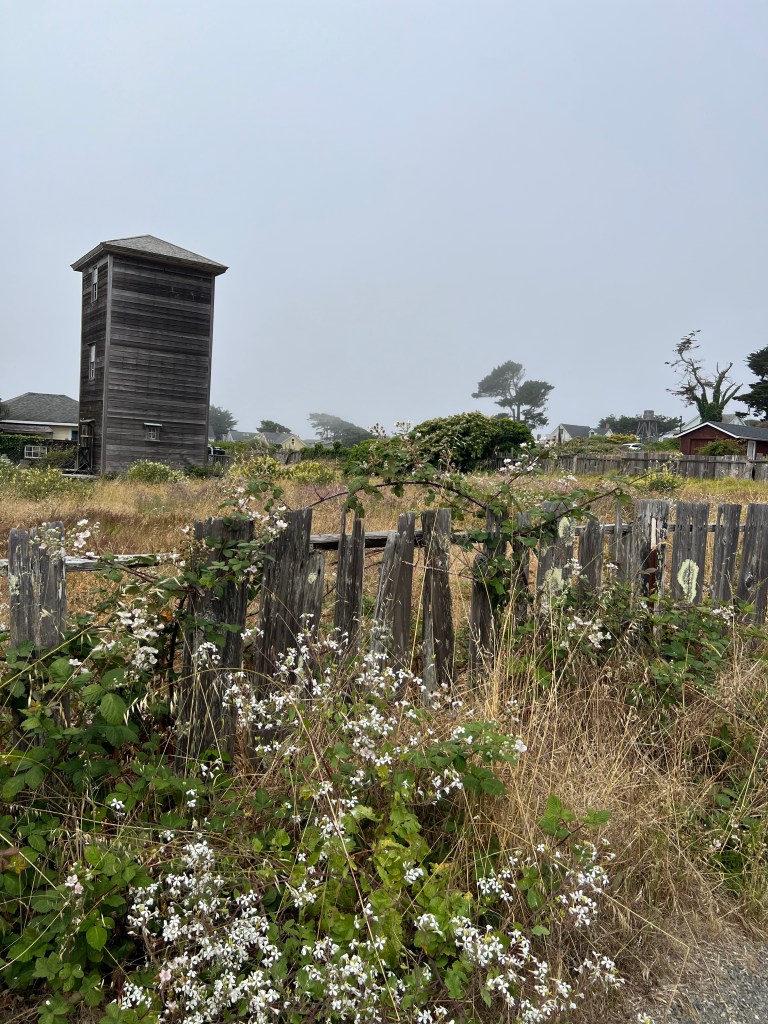 Mendocino