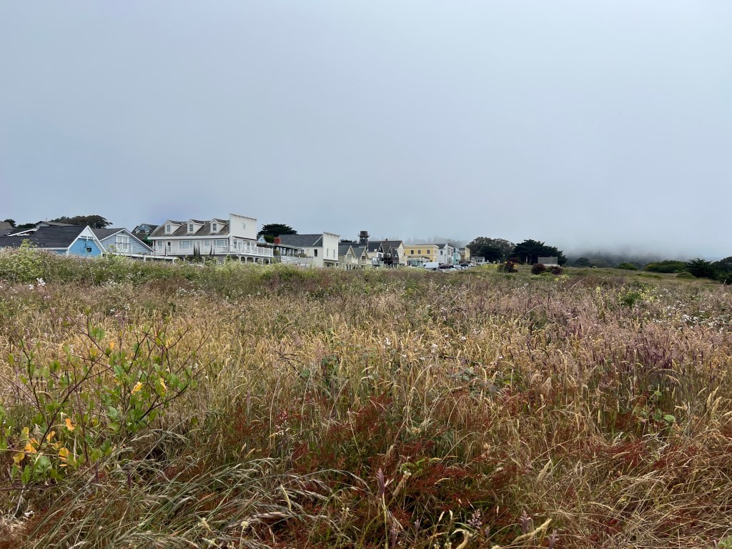 Mendocino