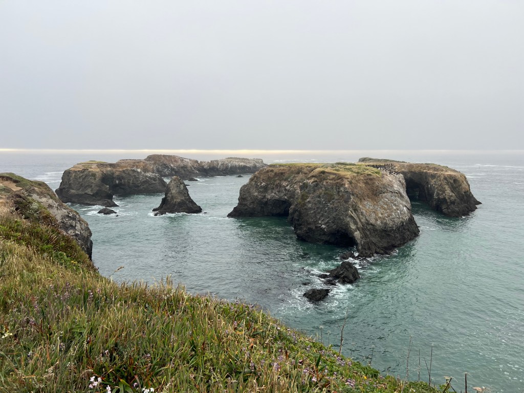 Mendocino