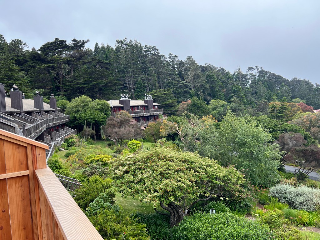 Stanford from balcony