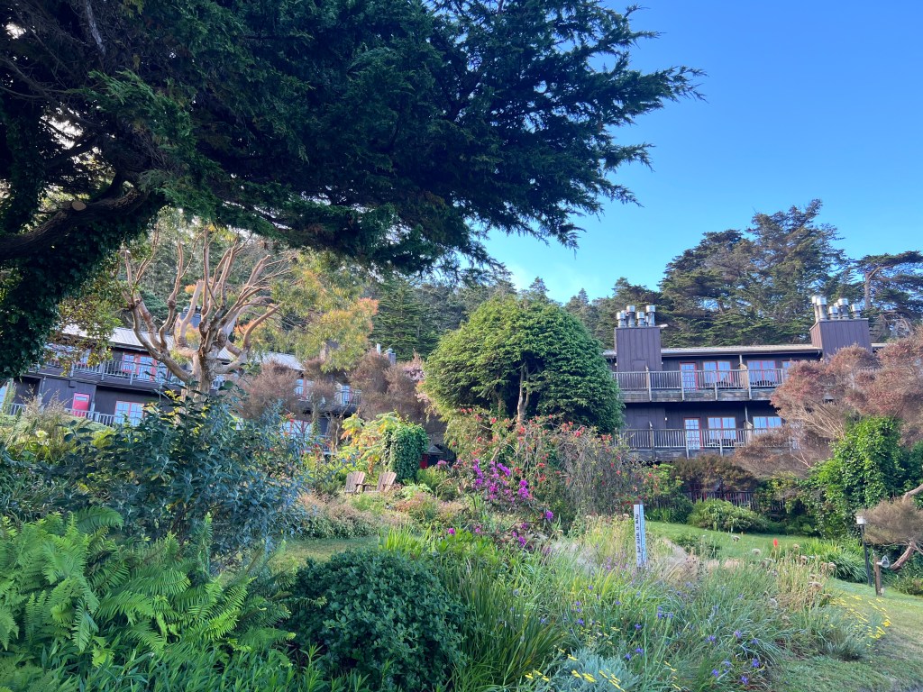 Stanford inn