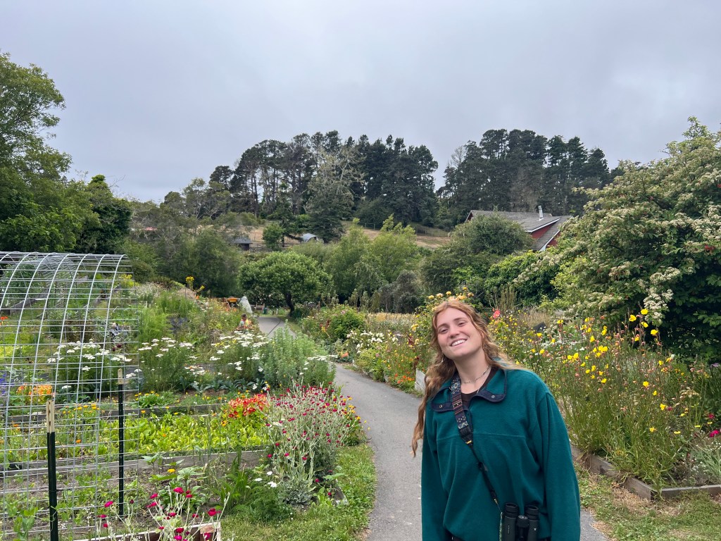 Stanford gardens