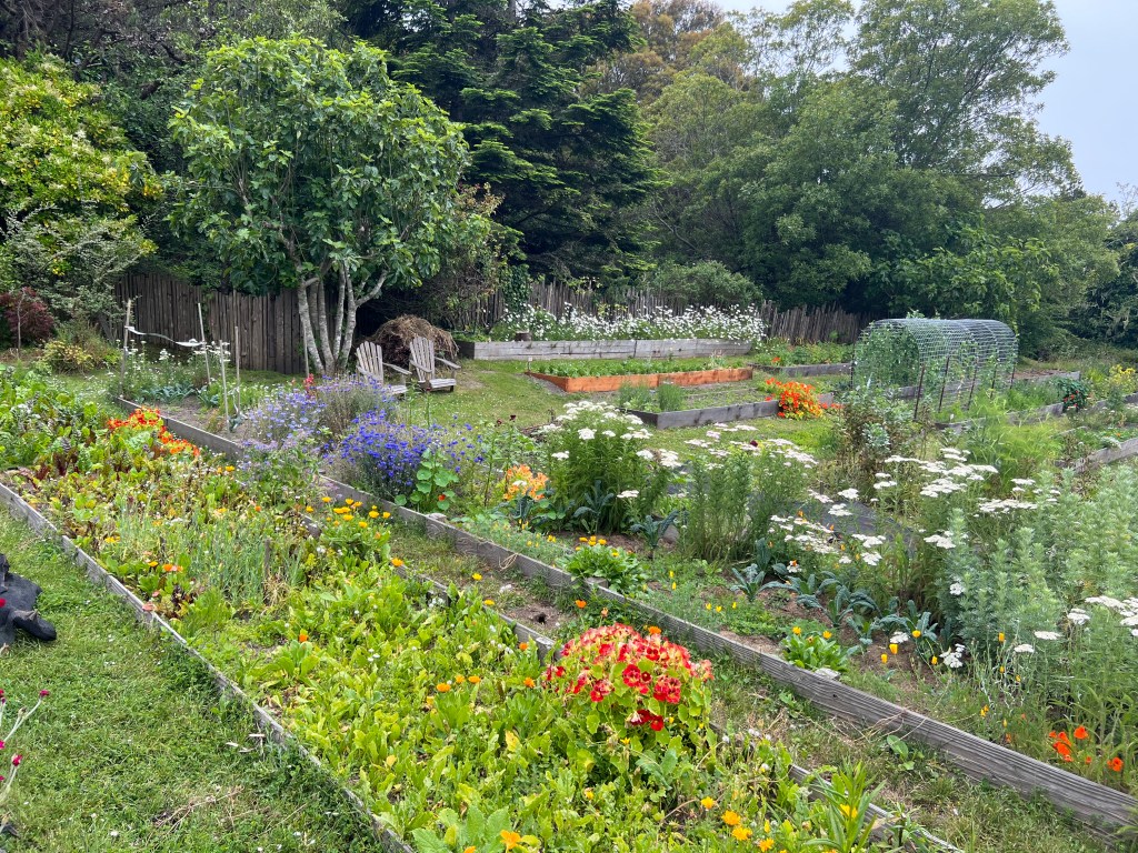 Stanford gardens