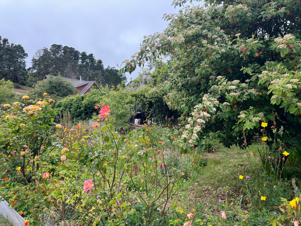 Stanford gardens